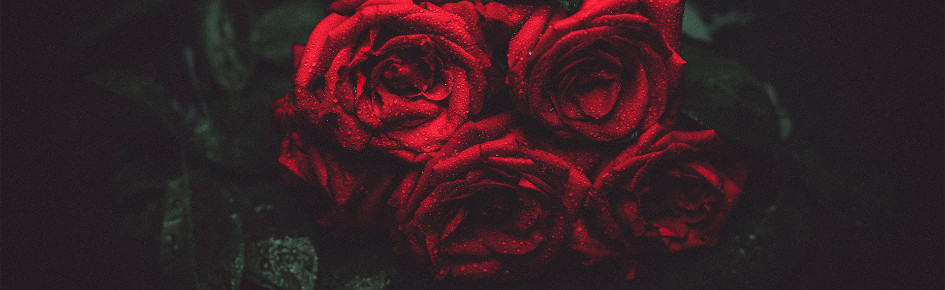 .???  server Discord Server Banner