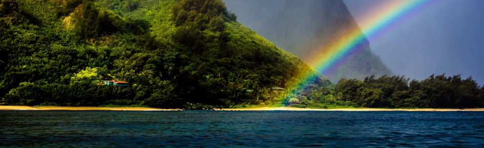 The Fold - RP Island Resort Discord Server Banner