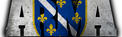 Arma 2 Bosna Discord Server Banner