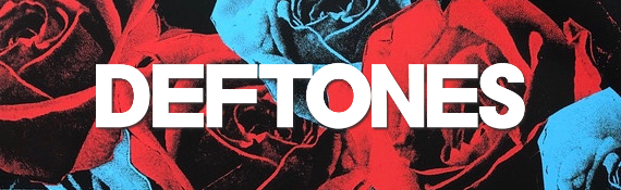 The House Of Flies Discord Server Banner