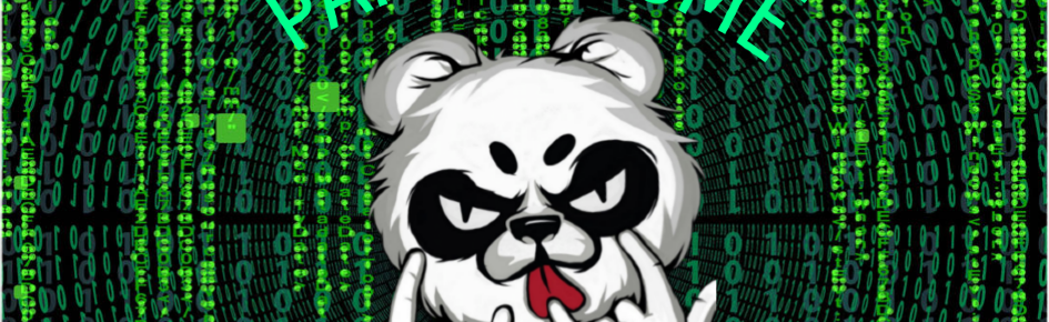 Panda Visme Discord Server Banner