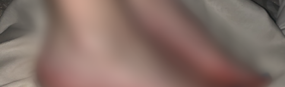 LulusWorld 🐾 Discord Server Banner