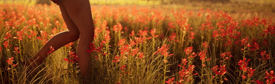 Spring , 1973 Discord Server Banner