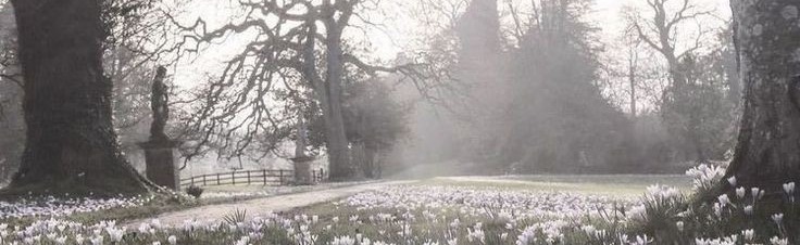 hazyworld Discord Server Banner