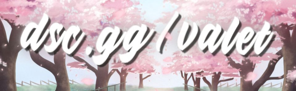 valet Discord Server Banner