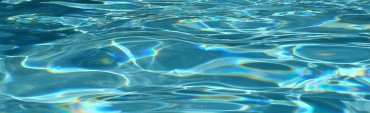 Island of Eden Discord Server Banner