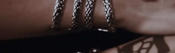 ╰⊱ 𝙎𝙝𝙖𝙙𝙤𝙬𝙝𝙪𝙣𝙩𝙚𝙧𝙨 Discord Server Banner