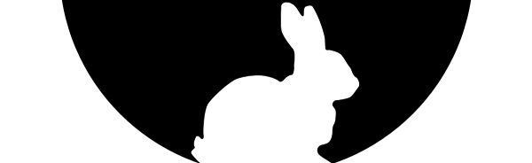 🐇| 𝗧𝗛𝗘 𝗥𝗔𝗕𝗜𝗧 𝗛𝗢𝗟𝗘🎲 Discord Server Banner