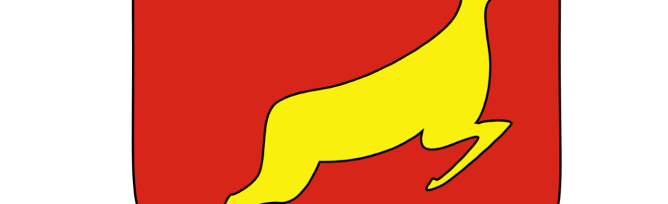 Kingdom Of Krasnosielc Discord Server Banner