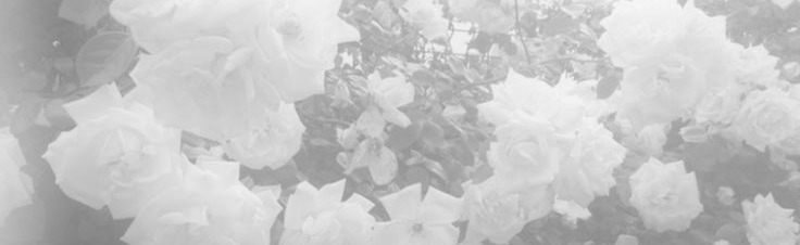 𖤓 easties Discord Server Banner