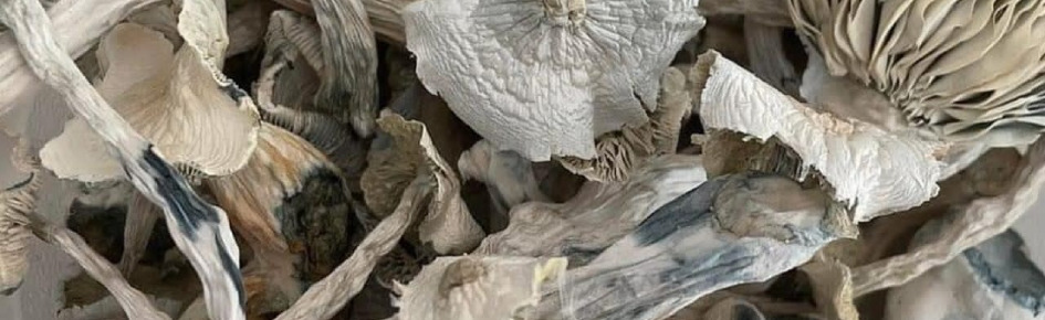 ketaminepsychedelic Discord Server Banner