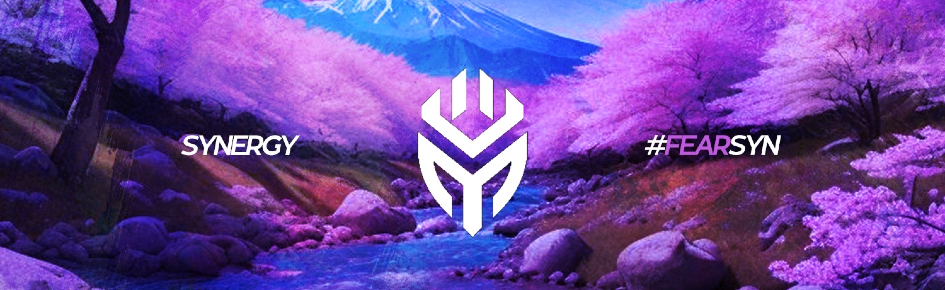 SYNERGY ESPORTS Discord Server Banner