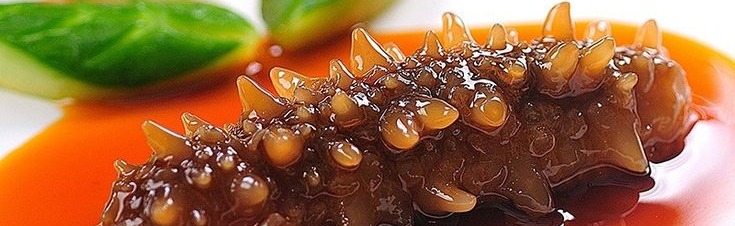 FLS Discord Server Banner