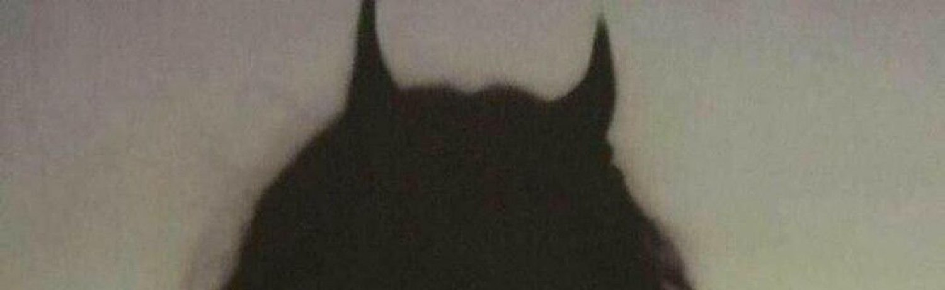 Impurity💖 Discord Server Banner