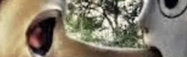 Chill Vibes Discord Server Banner