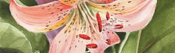 lilypond Discord Server Banner