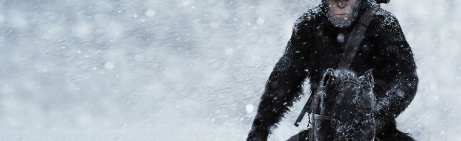 Ancient Ape Discord Server Banner