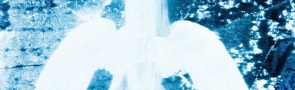 solaace Discord Server Banner