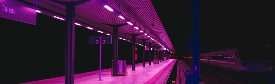 Bangwing Discord Server Banner