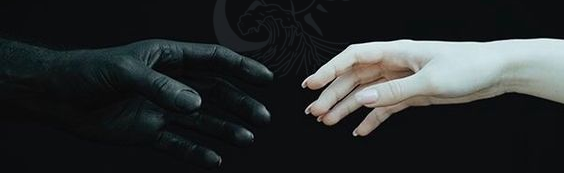Between Dark and Light Discord Server Banner