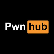 The PWNhub Discord Server Banner