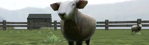 Crazy Cattle 3D 🐑 Discord Server Banner