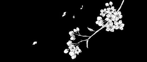 vlowk's aether Discord Server Banner