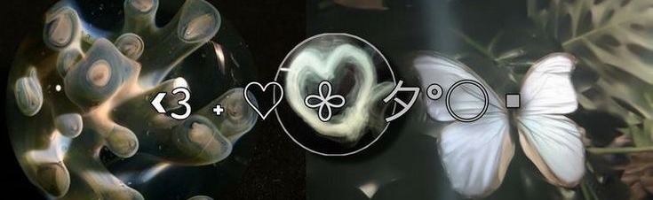 star ∘₊✧ city Discord Server Banner