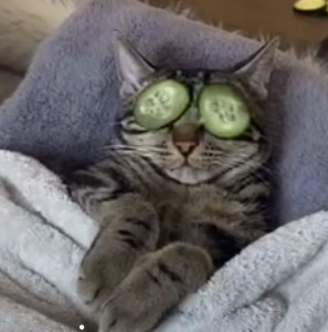 Lifes Univers Discord Server Banner