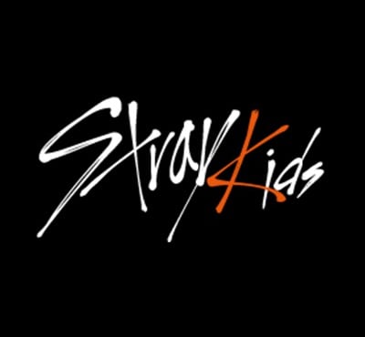 Stray Kids Discord Server Banner