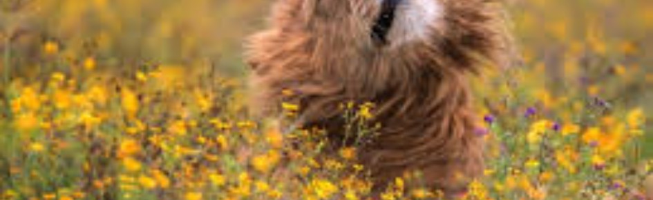 Mühendis Sunucusu Discord Server Banner