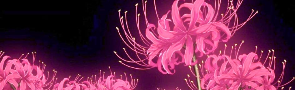 Pigs For Princesses Discord Server Banner