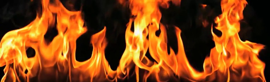 Baby Fight Club Discord Server Banner