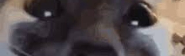 ThyGangstas Discord Server Banner