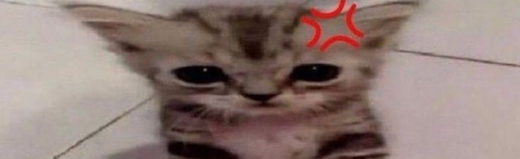 Crusaders Discord Server Banner