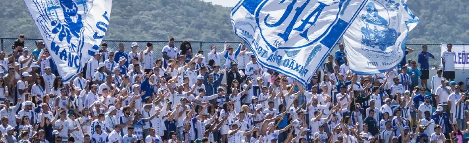 AvaíPlace Discord Server Banner