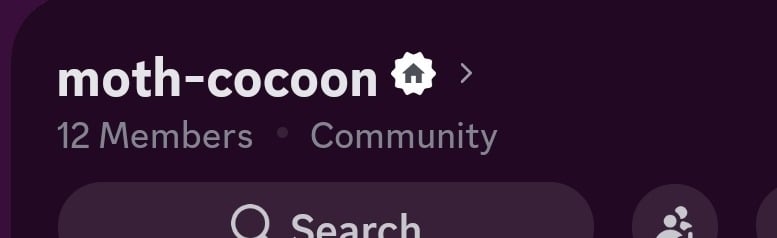 moth cocoon Discord Server Banner
