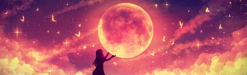 Sparkle Moon Discord Server Banner