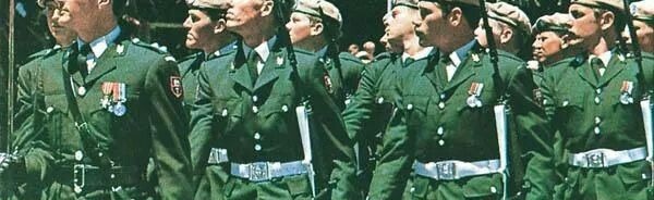 Republic of Rhodesia Discord Server Banner