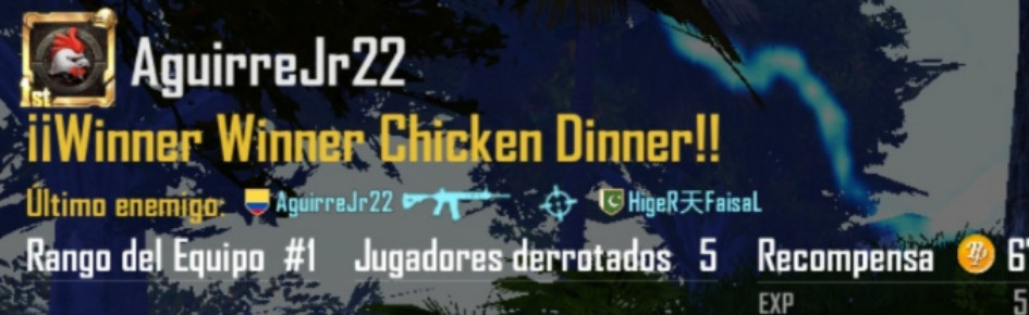 AguirreJunior1 Discord Server Banner