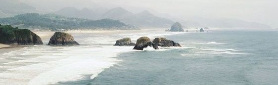 The Cozy Cove Discord Server Banner