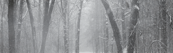 /loss Discord Server Banner