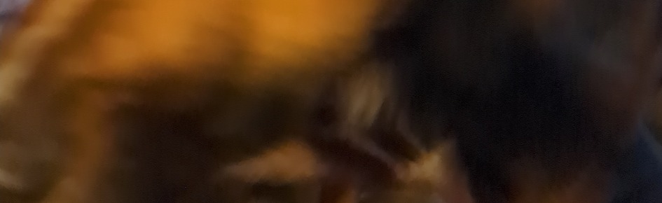 serber yeah idk Discord Server Banner