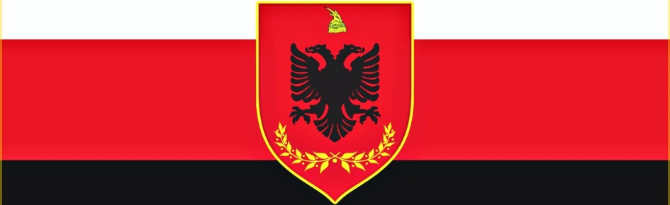 albania PYA Discord Server Banner