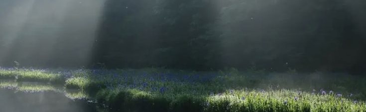 ♡ Garden 🌸 Discord Server Banner