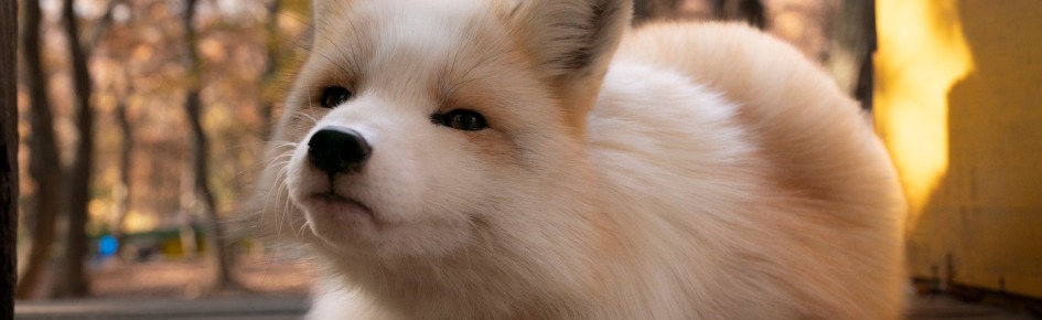 Typical art Discord Server Banner