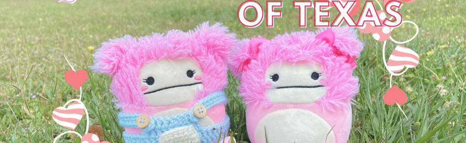 Squishmallows of TX Discord Server Banner