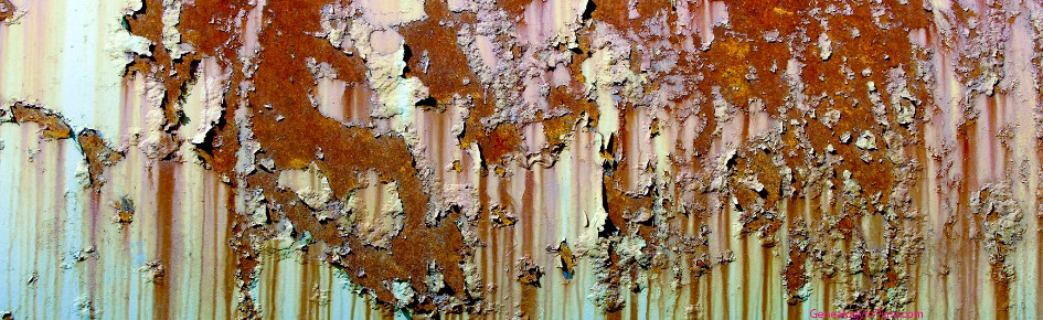 Porkchopxpress1 Discord Server Banner