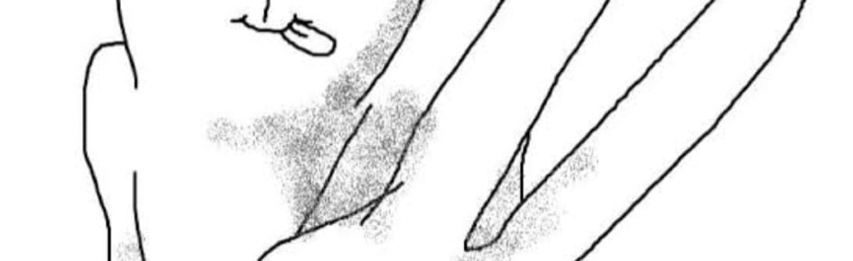 Rent me as a gf or friend Discord Server Banner