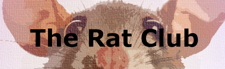 The Rat Club Discord Server Banner